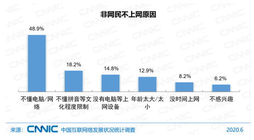 中國互聯網絡發展狀況統計報告（2020年第46次） 網民規模、結構狀況與計算機軟件數據處理服務分析