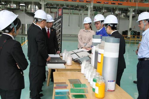 立足知識(shí)產(chǎn)權(quán)保護(hù)，協(xié)同企業(yè)創(chuàng)新發(fā)展——江州區(qū)法院舉辦新材料技術(shù)研發(fā)領(lǐng)域知識(shí)產(chǎn)權(quán)保護(hù)宣講座談會(huì)