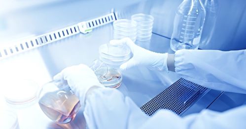 吉雷新材料 以“材”賦能，勇做新材料技術(shù)研發(fā)領(lǐng)域的創(chuàng)新者